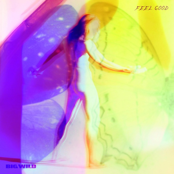 Feel Good - Single album cover