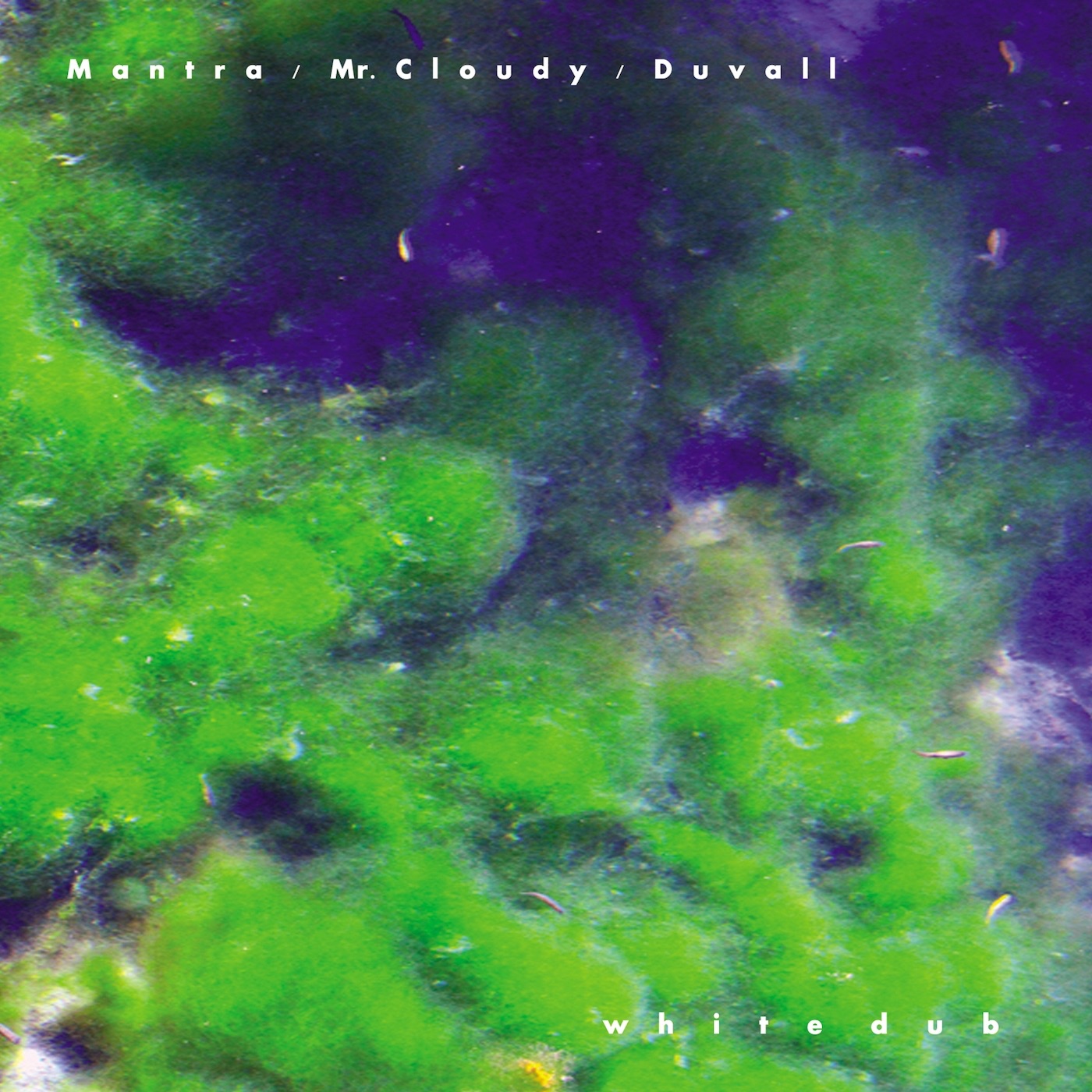 White Dub album cover