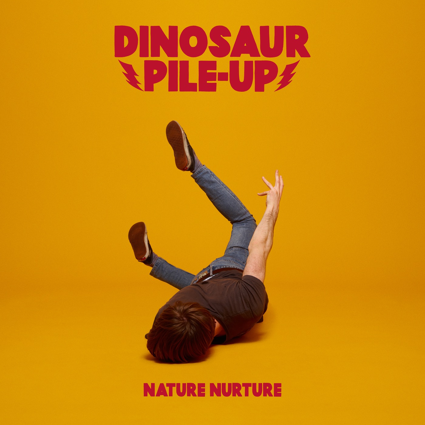 Nature Nurture album cover