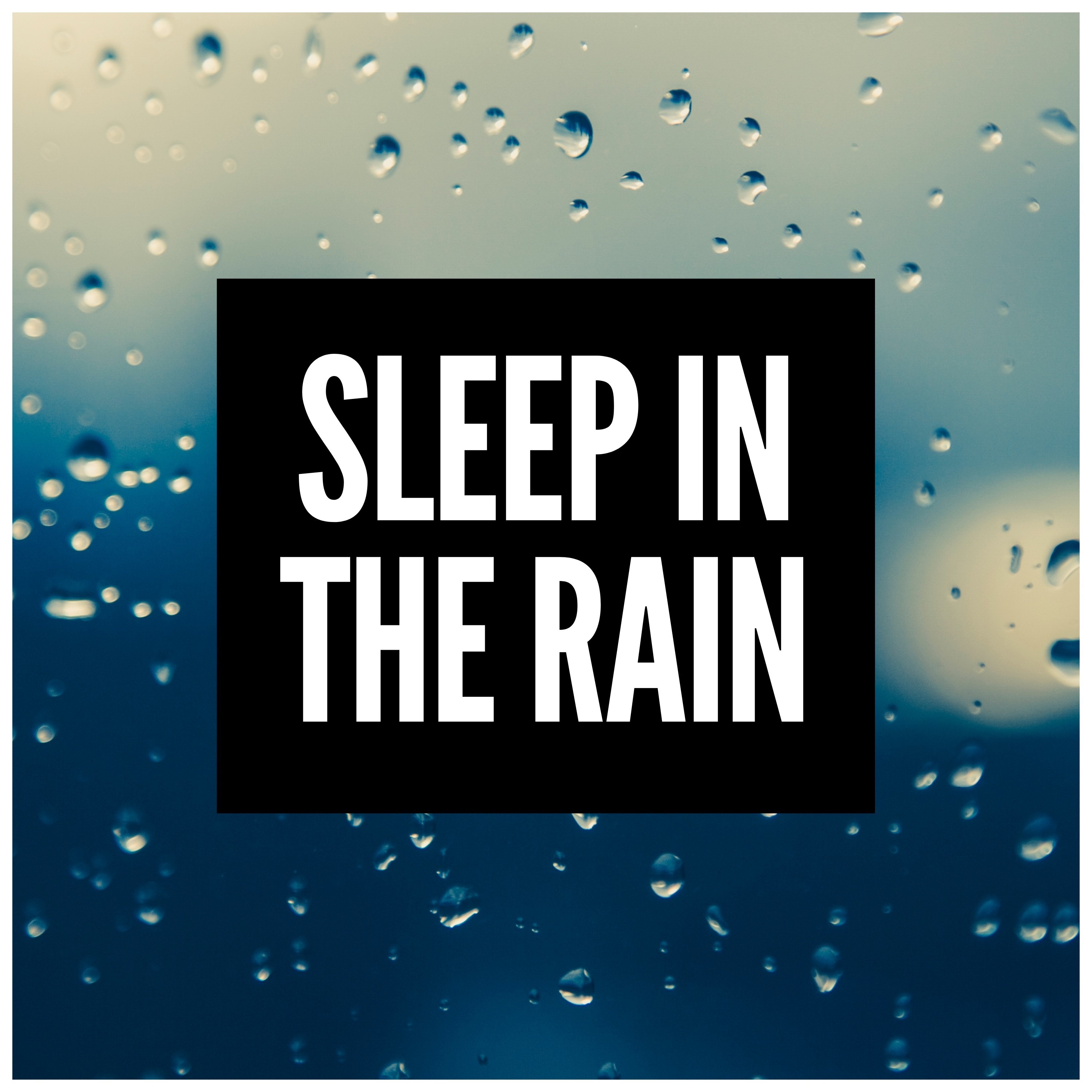 Sleep in the Rain album cover
