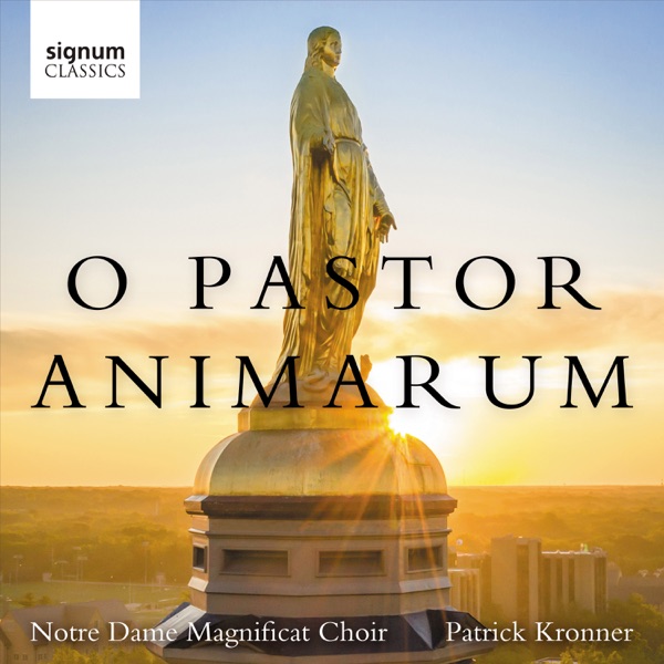 Hildegard von Bingen: O Pastor Animarum (arr. for choir by David Marshall) - Single album cover