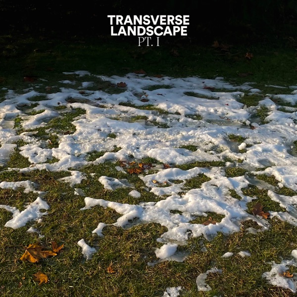 Transverse Landscape, Pt. 1 - Single album cover