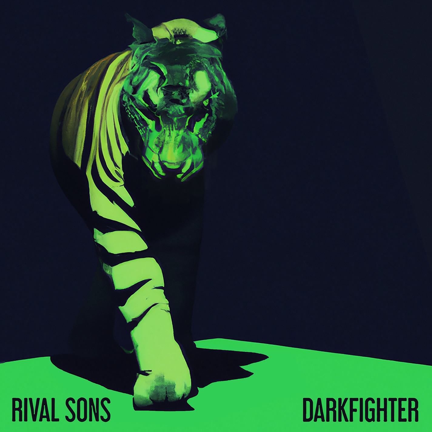 DARKFIGHTER album cover
