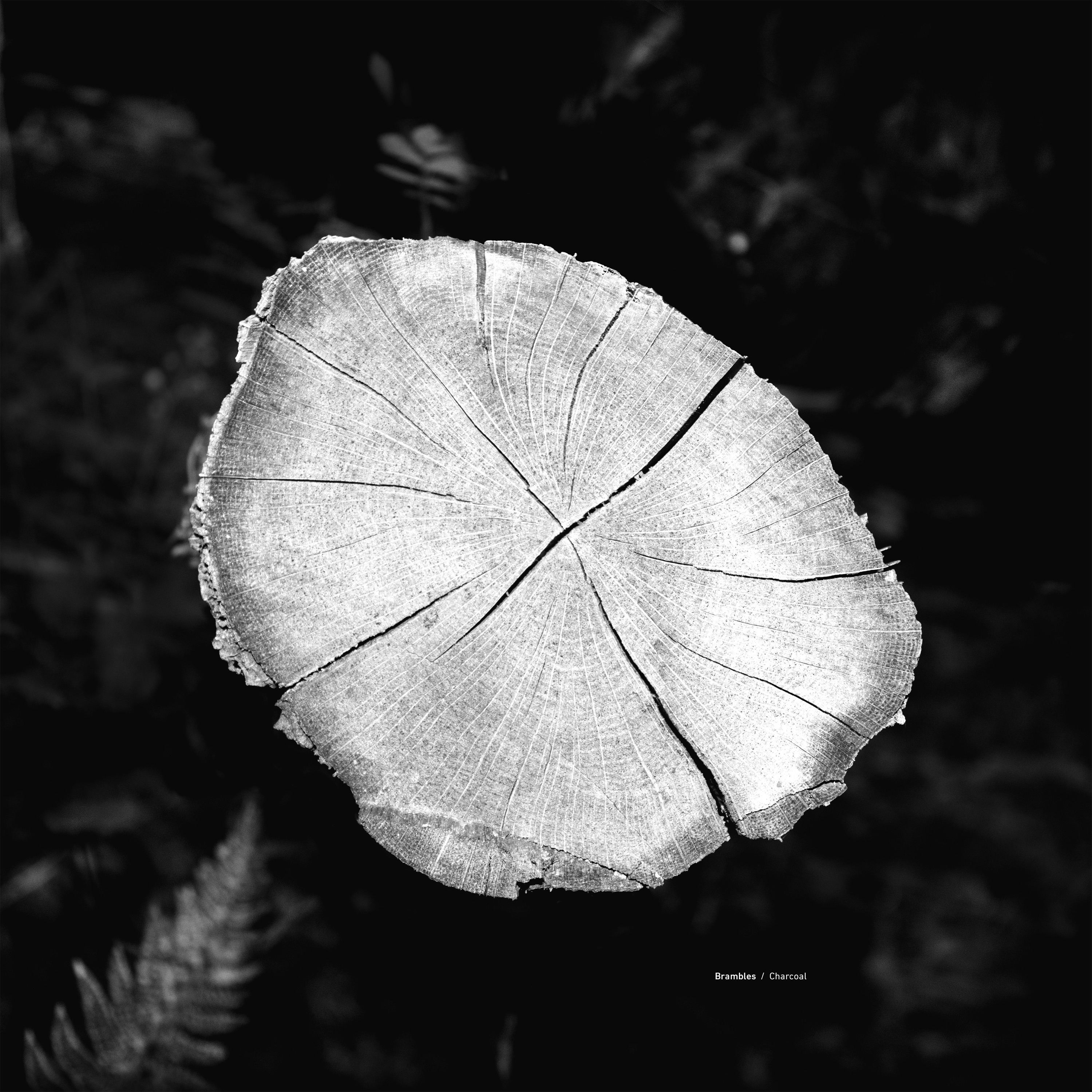 Charcoal: Expanded Edition album cover