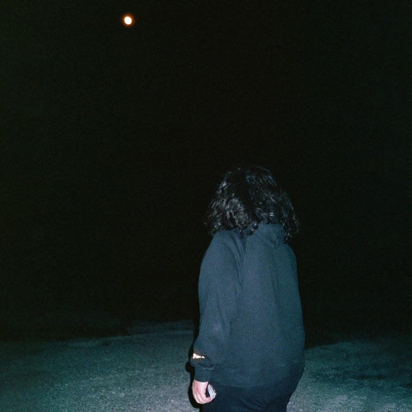 To the Moon & Back - Single album cover
