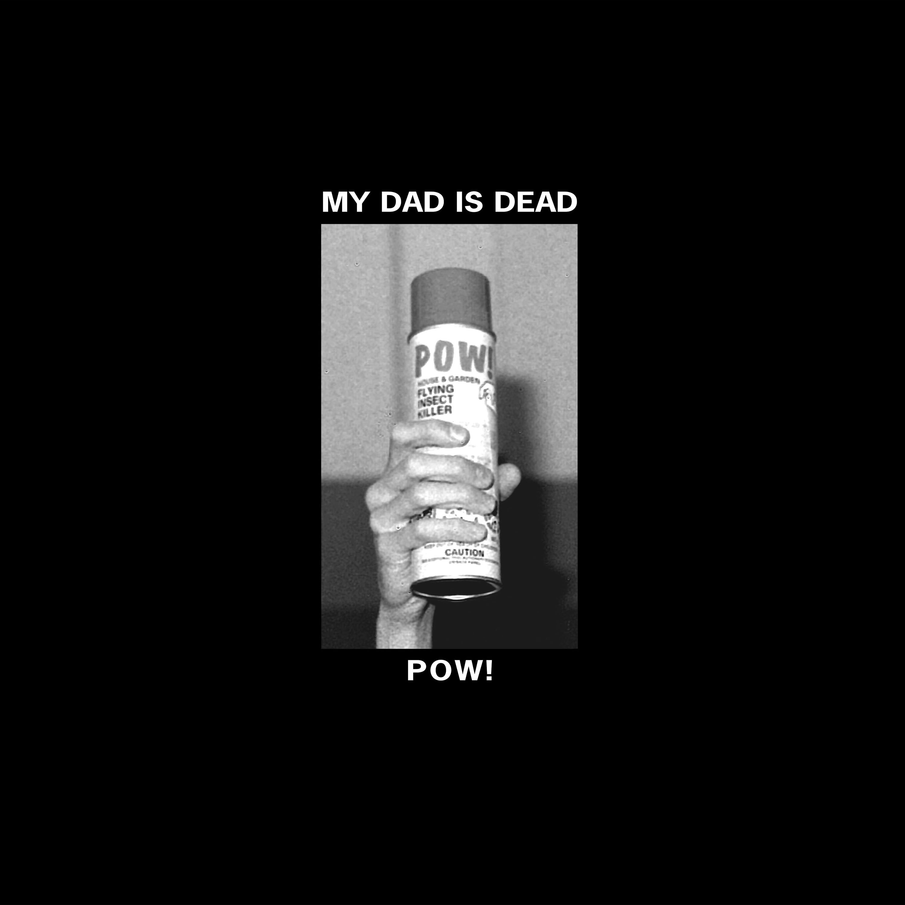 Pow! - Single album cover