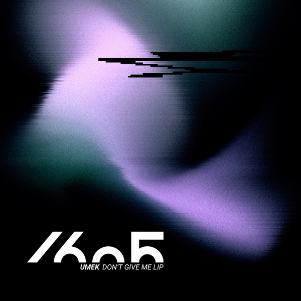 Don't Give Me Lip - Single album cover