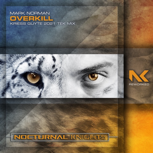 Overkill (Kriess Guyte 2021 Tek Mix) - Single album cover