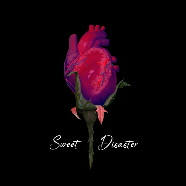 Sweet Disaster - Single album cover