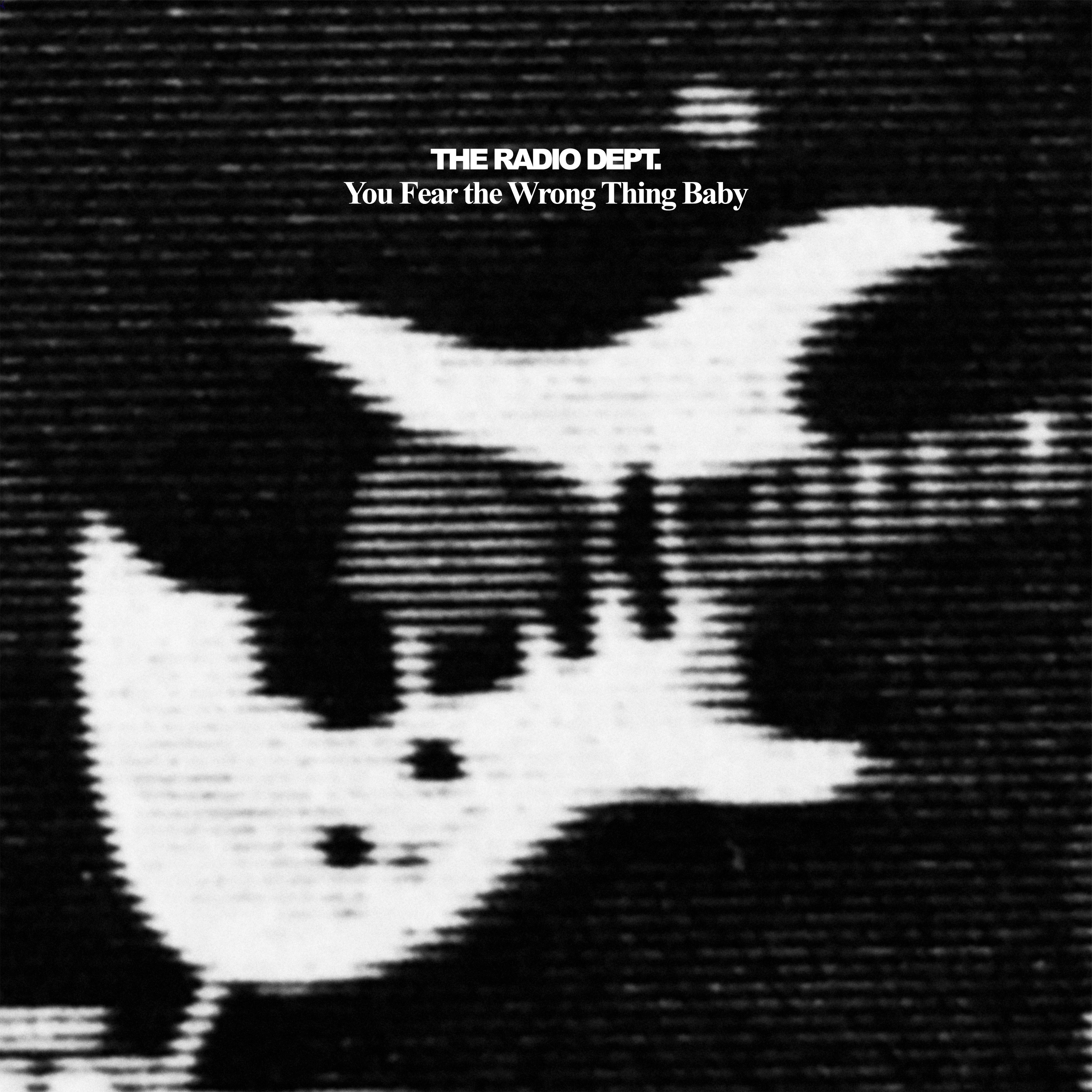 You Fear the Wrong Thing Baby - Single album cover