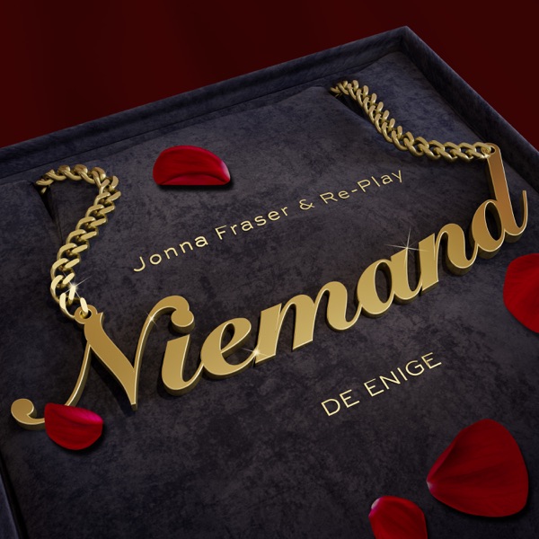 Niemand (De Enige) - Single album cover