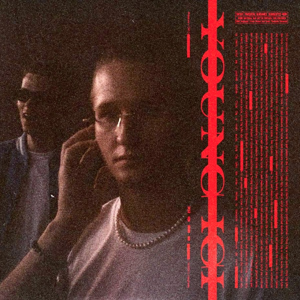 Pleasure - Single album cover