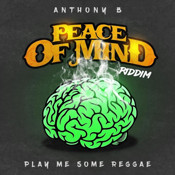 Play Me Some Reggae (Peace of Mind Riddim) - Single album cover