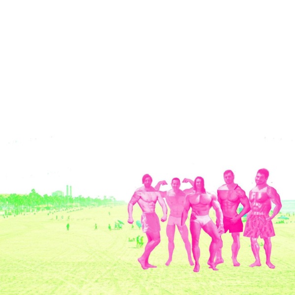 The Novelty of Joy - Single album cover