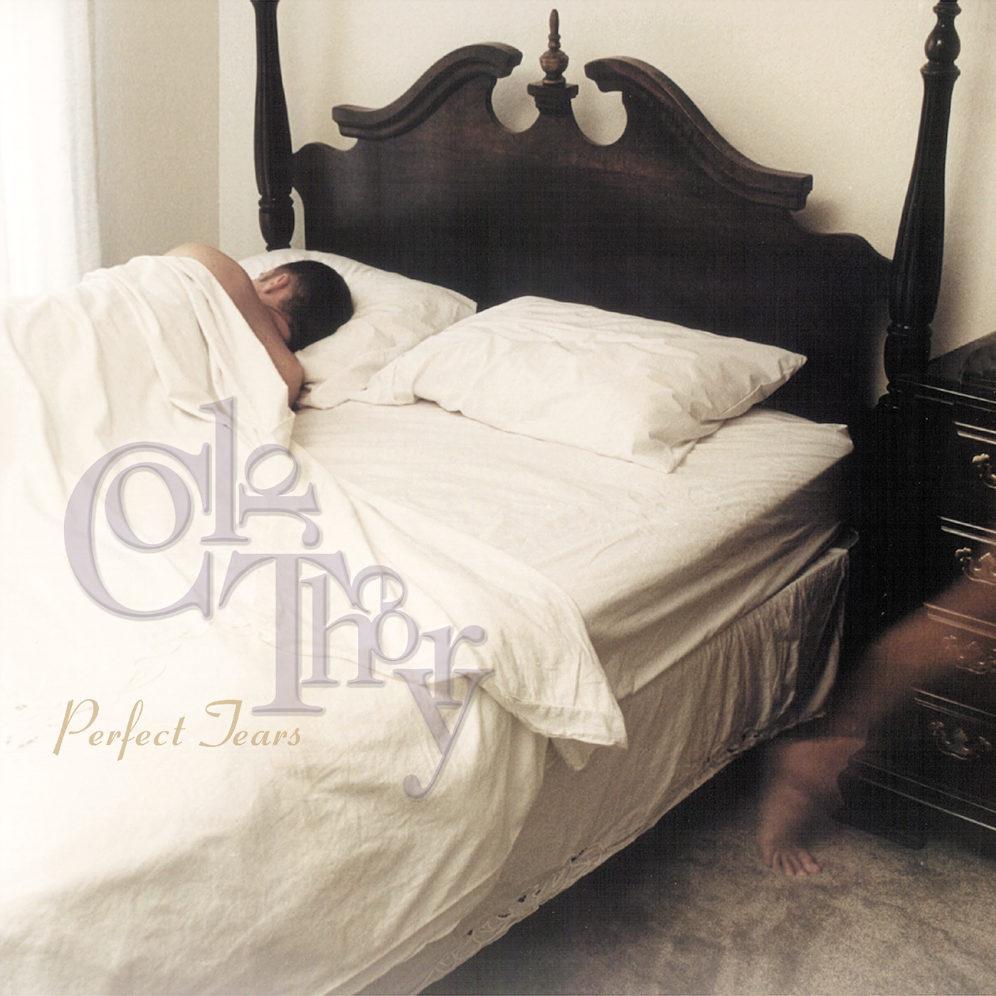 Perfect Tears album cover