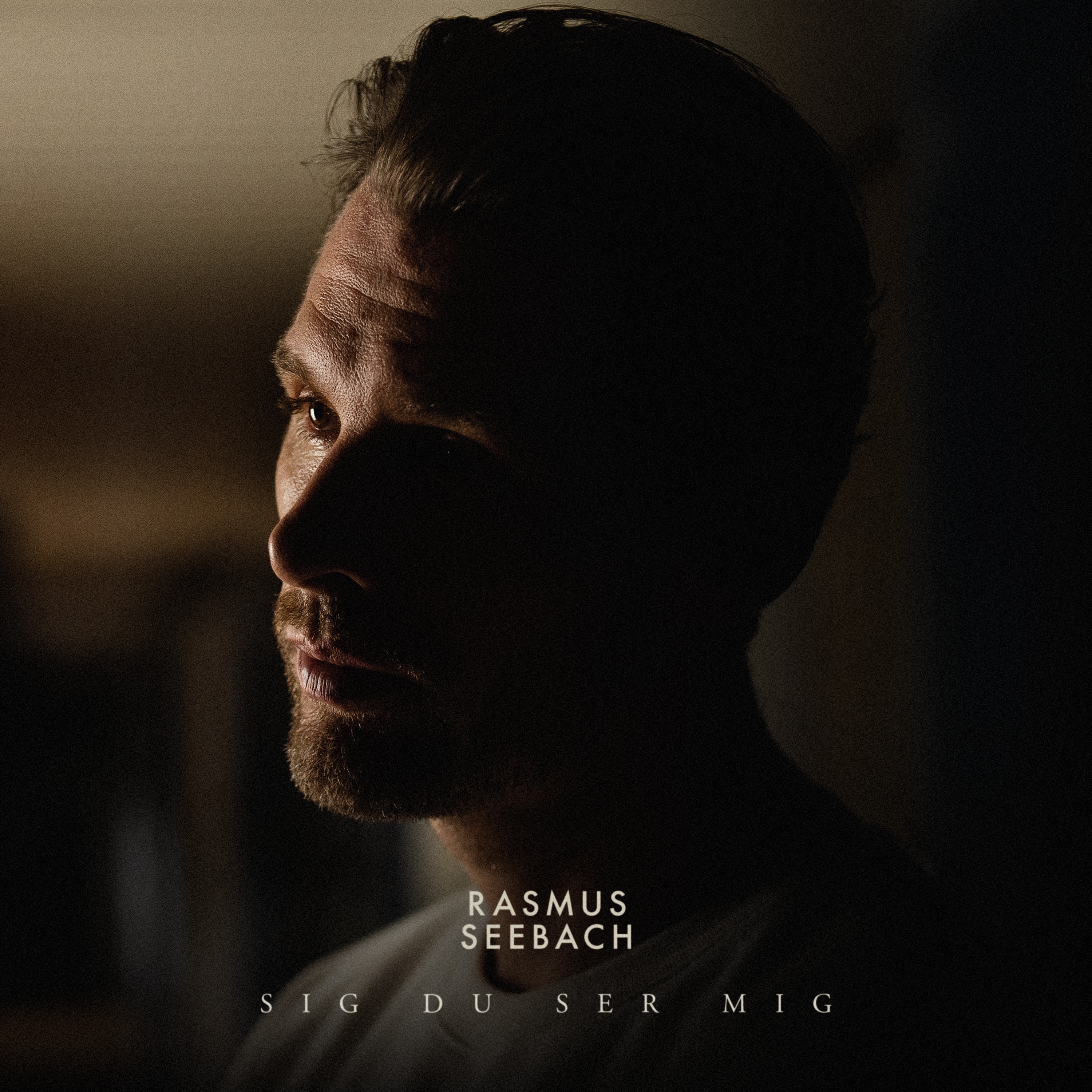 Sig Du Ser Mig (Julen Er Hjerternes Fest) - Single album cover