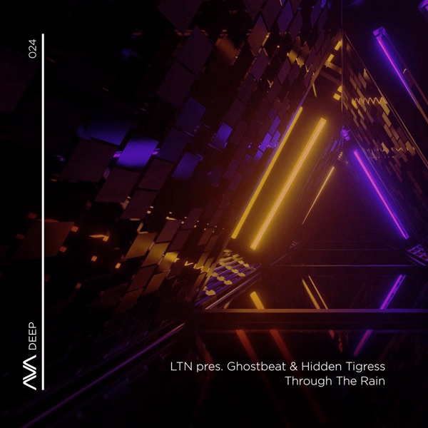 Through the Rain - Single album cover