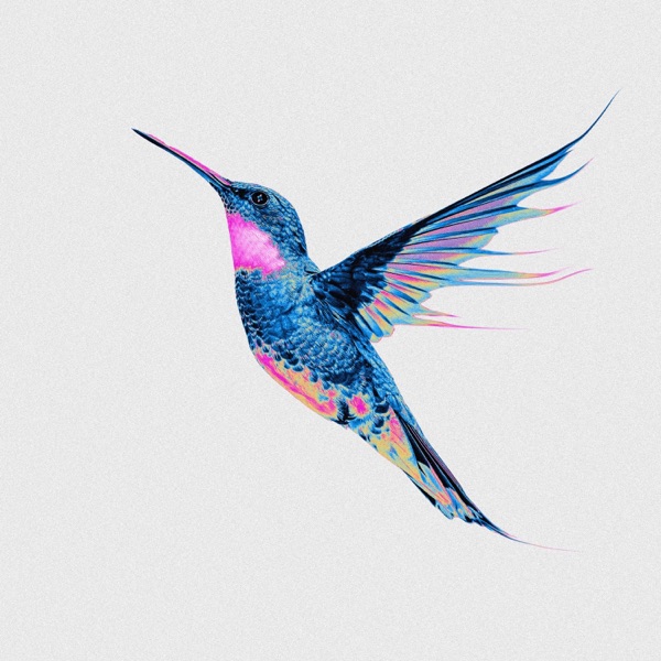 Hummingbird (feat. Katrina Anastasia) - Single album cover