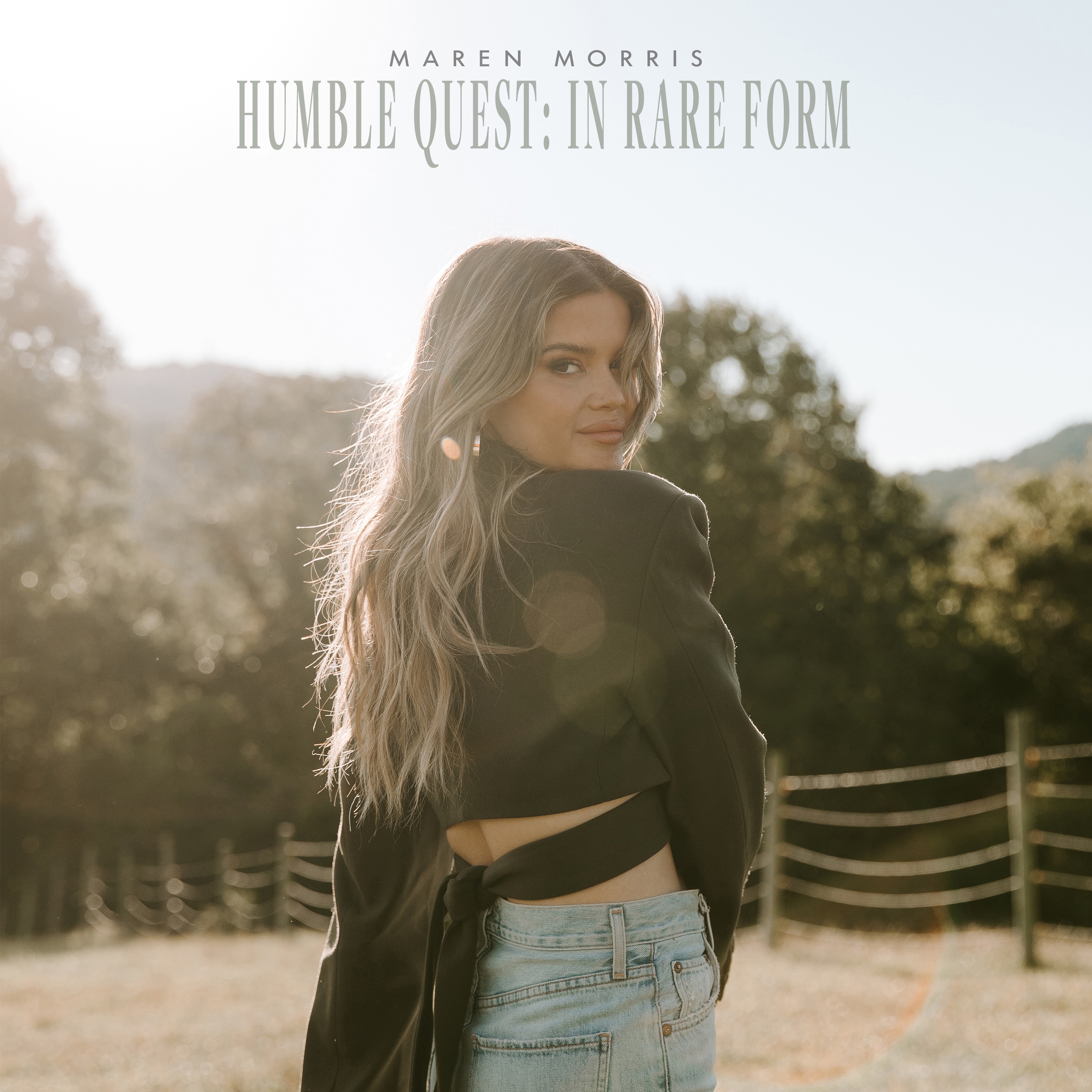 Humble Quest: In Rare Form album cover