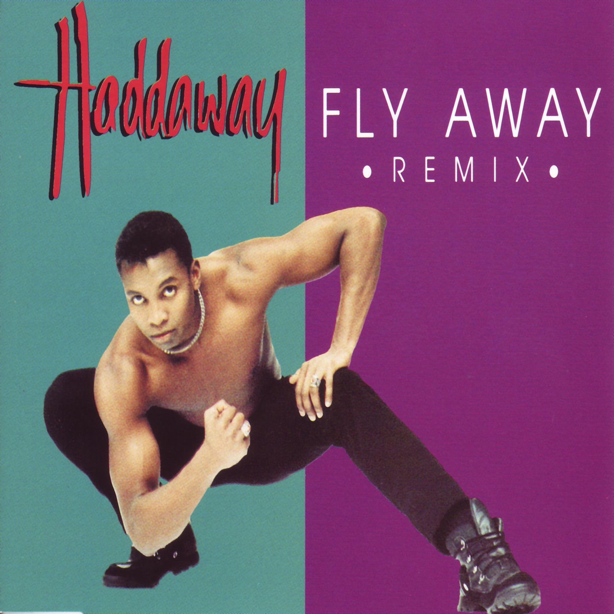 Fly Away (Remixes) - Single album cover