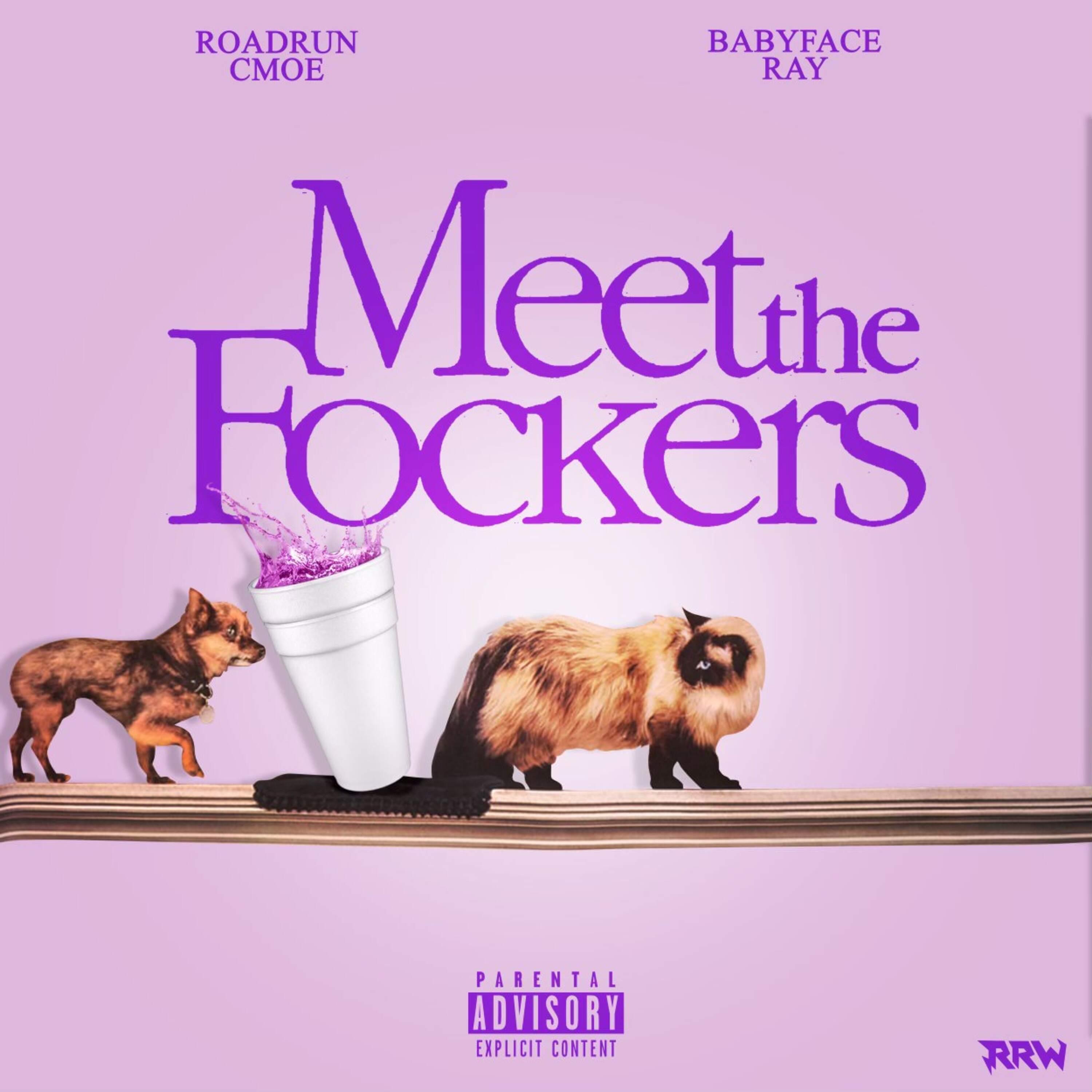 Meet the Fockers (feat. Babyface Ray) - Single album cover