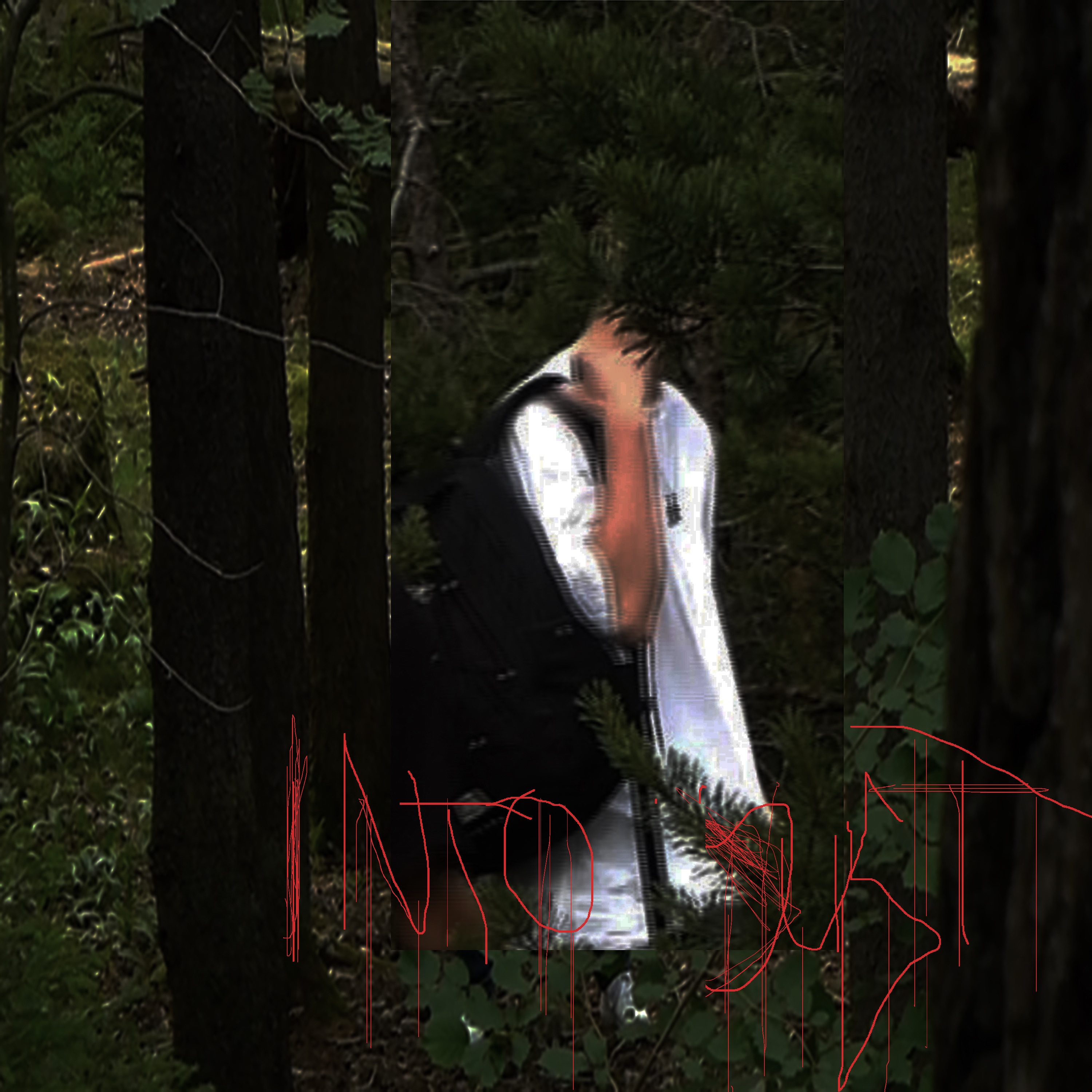 Into Dust - Single album cover