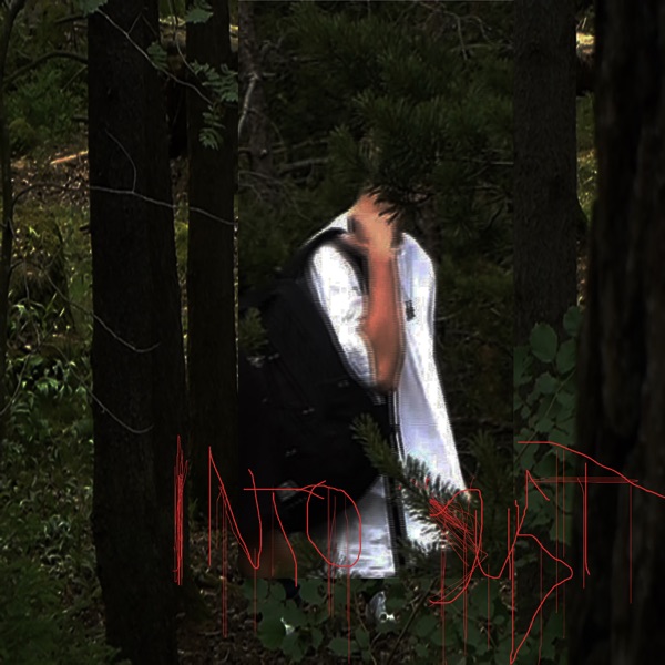 Into Dust - Single album cover