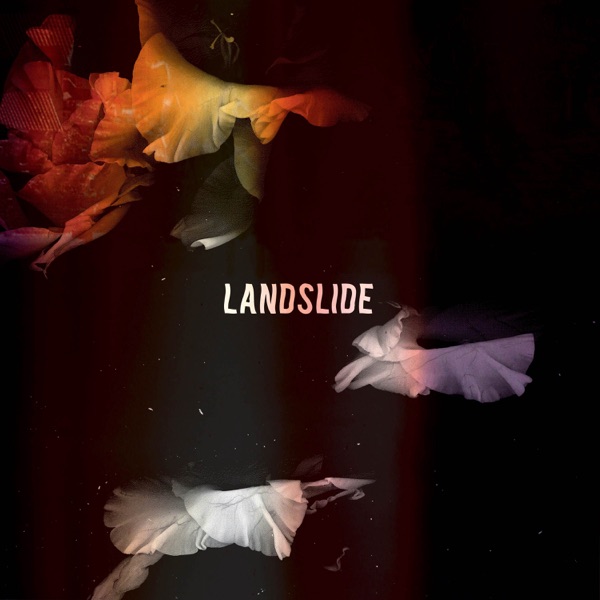 Landslide - Single album cover
