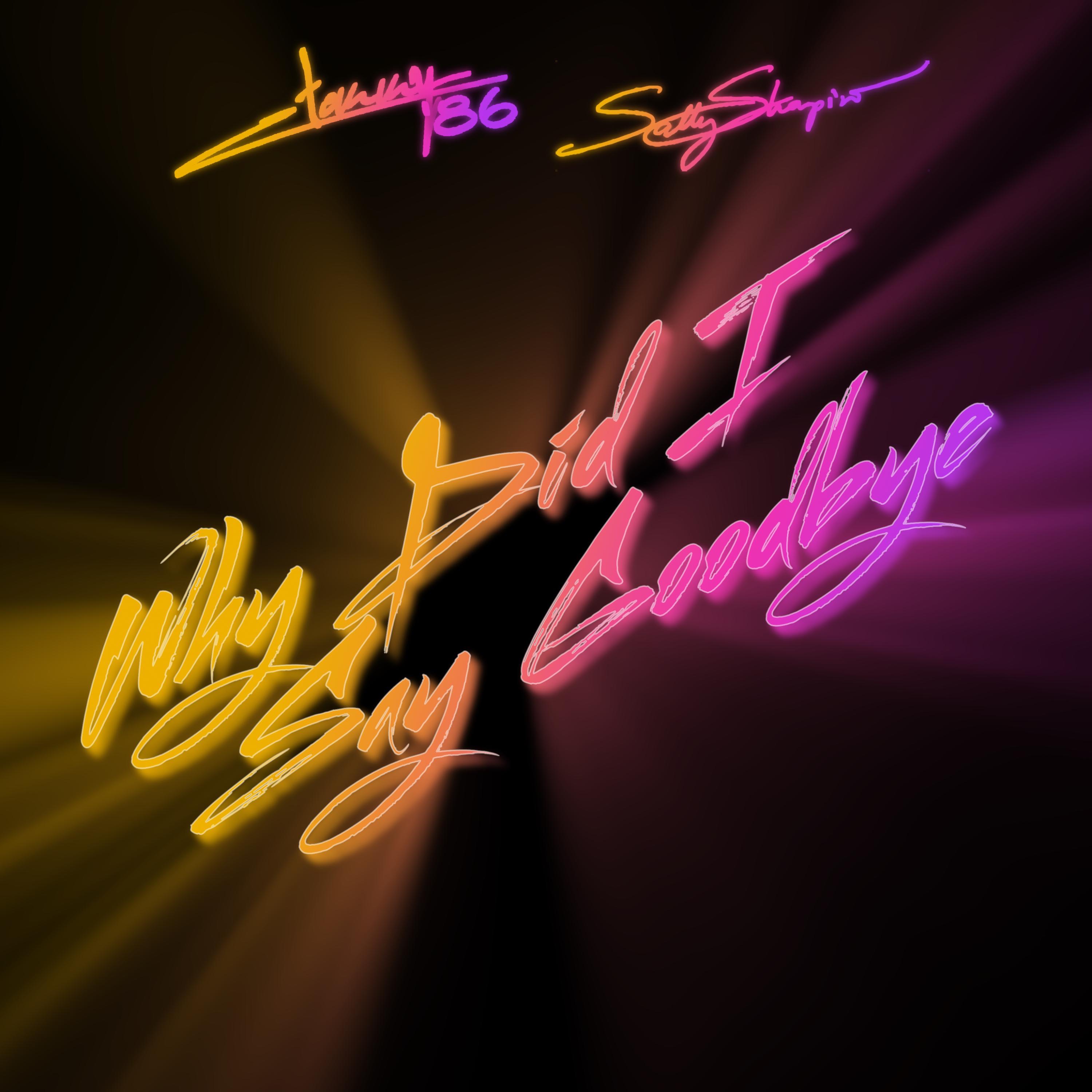 Why Did I Say Goodbye (The Remixes) - EP album cover