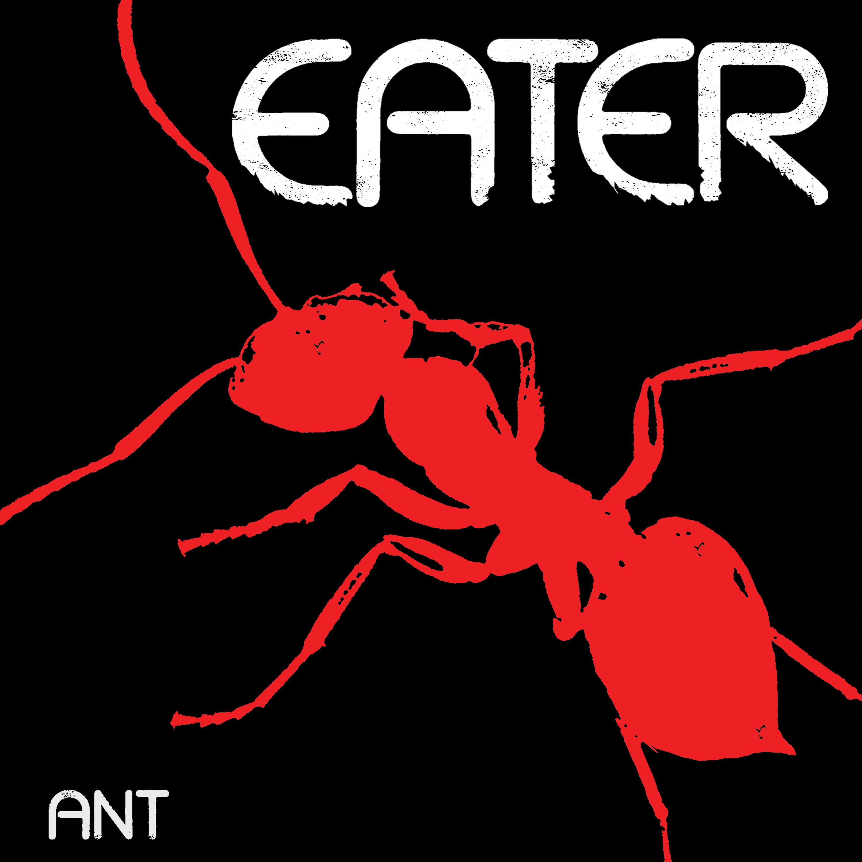 Ant album cover