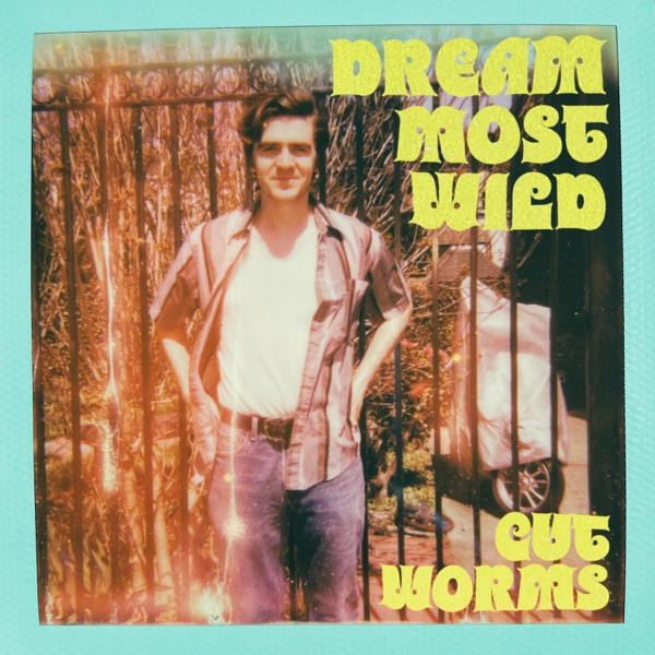 Dream Most Wild - Single album cover