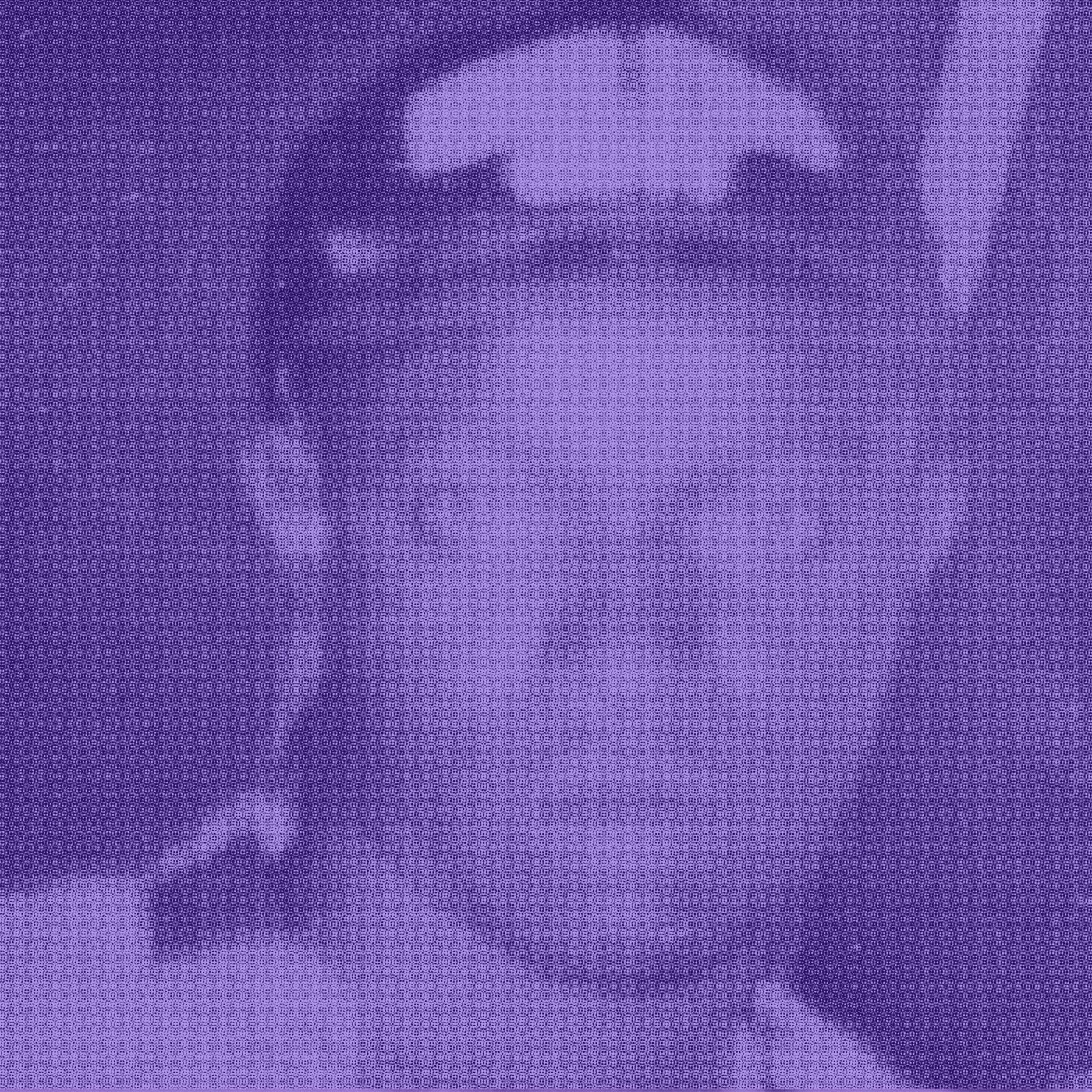 Goldmine (Dubbed Out by Prince Jazzbo) album cover
