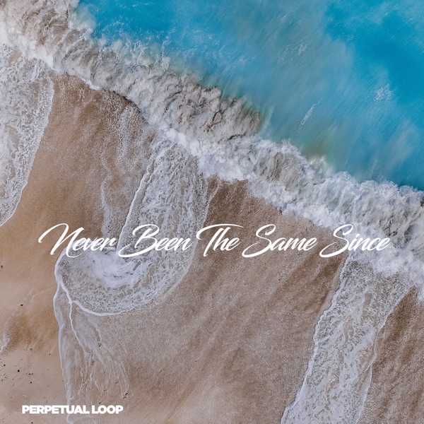 Never Been the Same Since - Single album cover