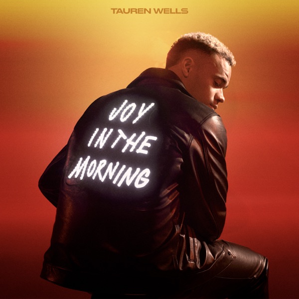 Joy In The Morning album cover