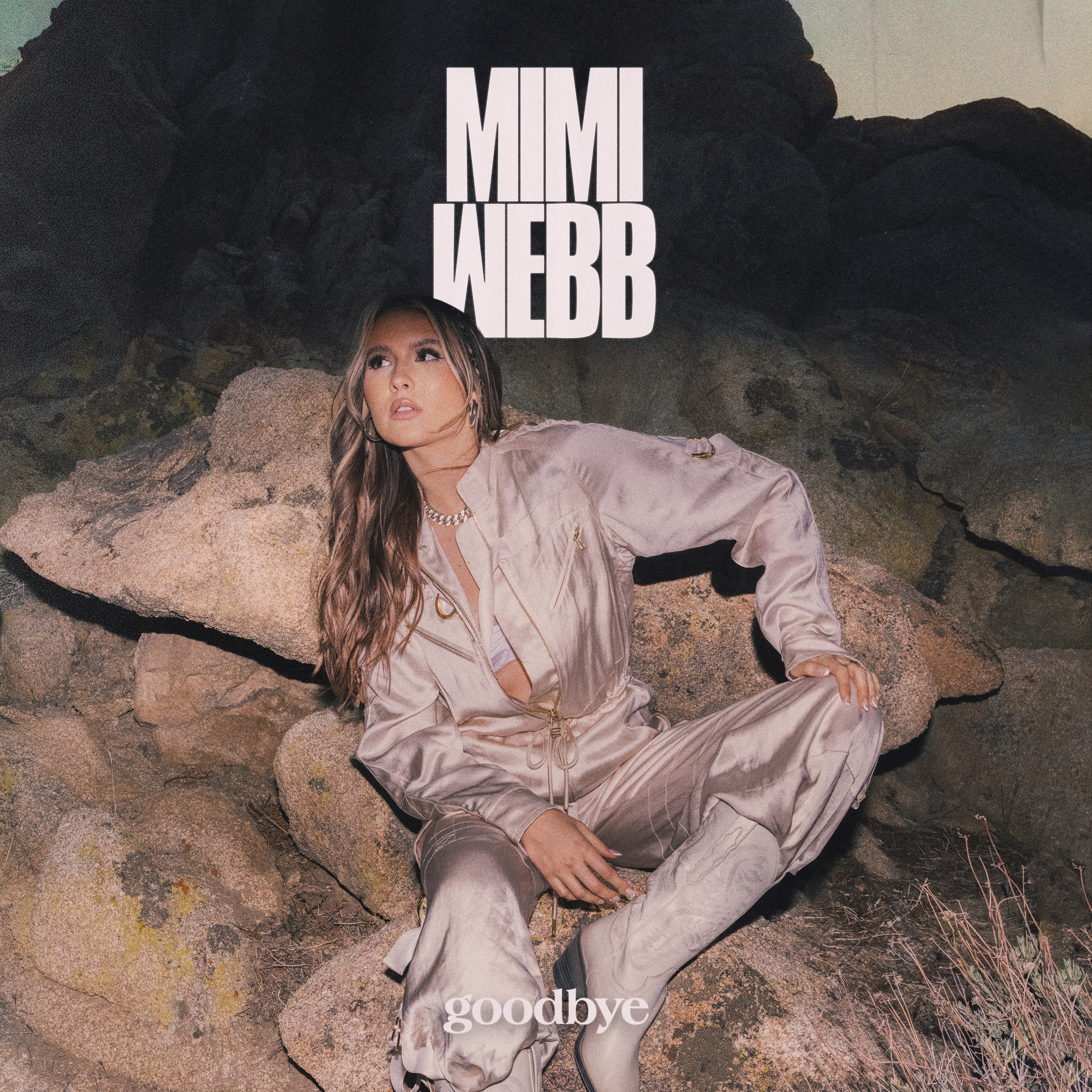 Goodbye - Single album cover