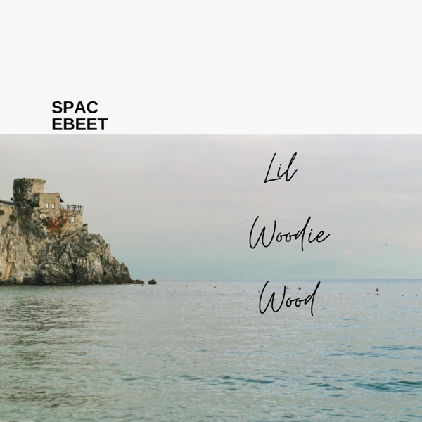 SPacebeet (feat. Inez) - Single album cover