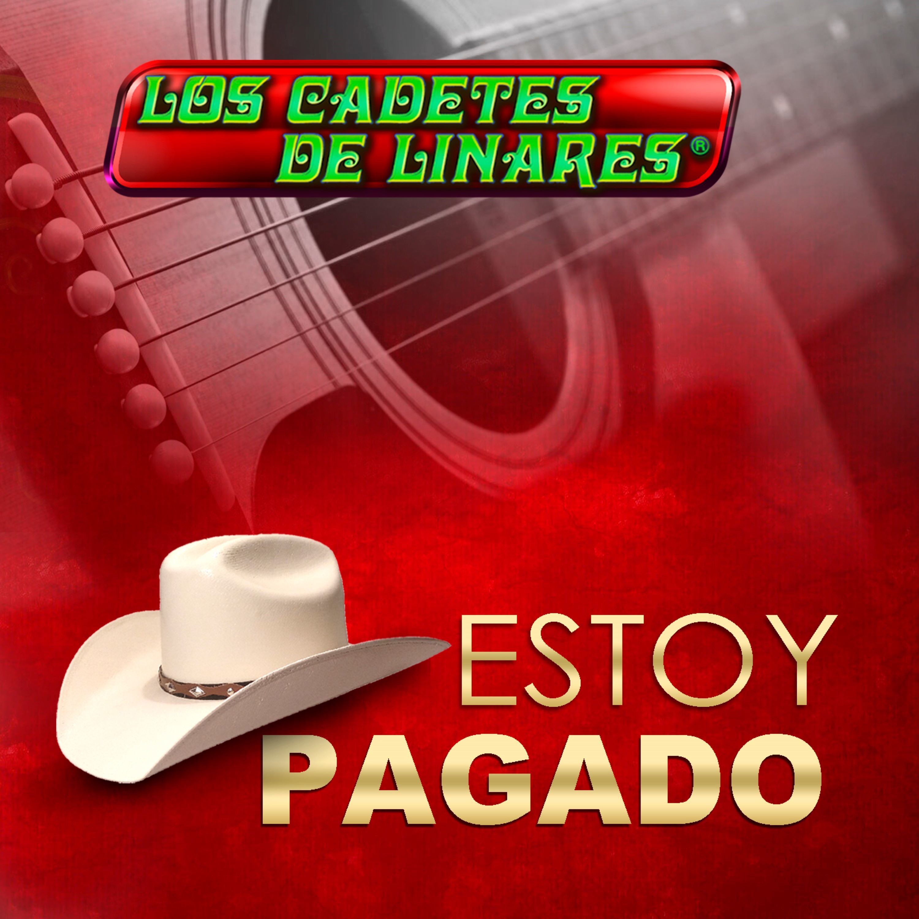 Estoy Pagado album cover