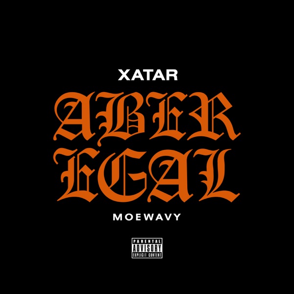 Aber Egal - Single album cover