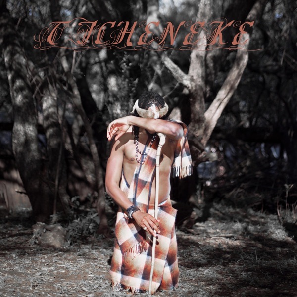 Ticheneke - Single album cover