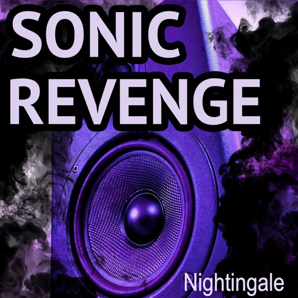 Sonic Revenge - Single album cover