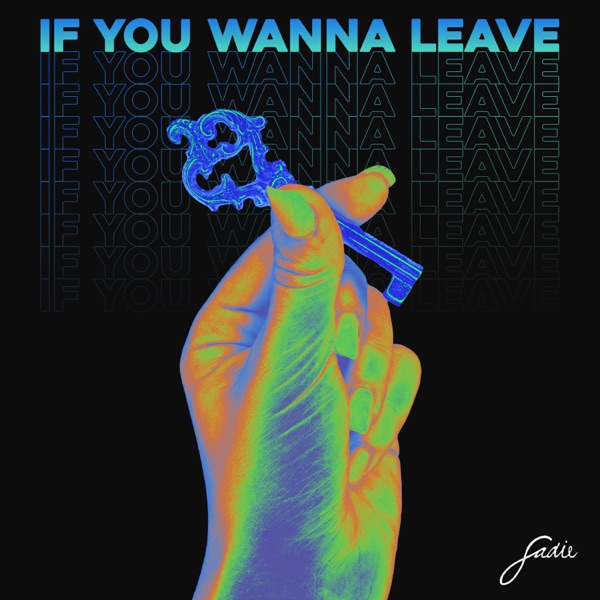 If You Wanna Leave - Single album cover