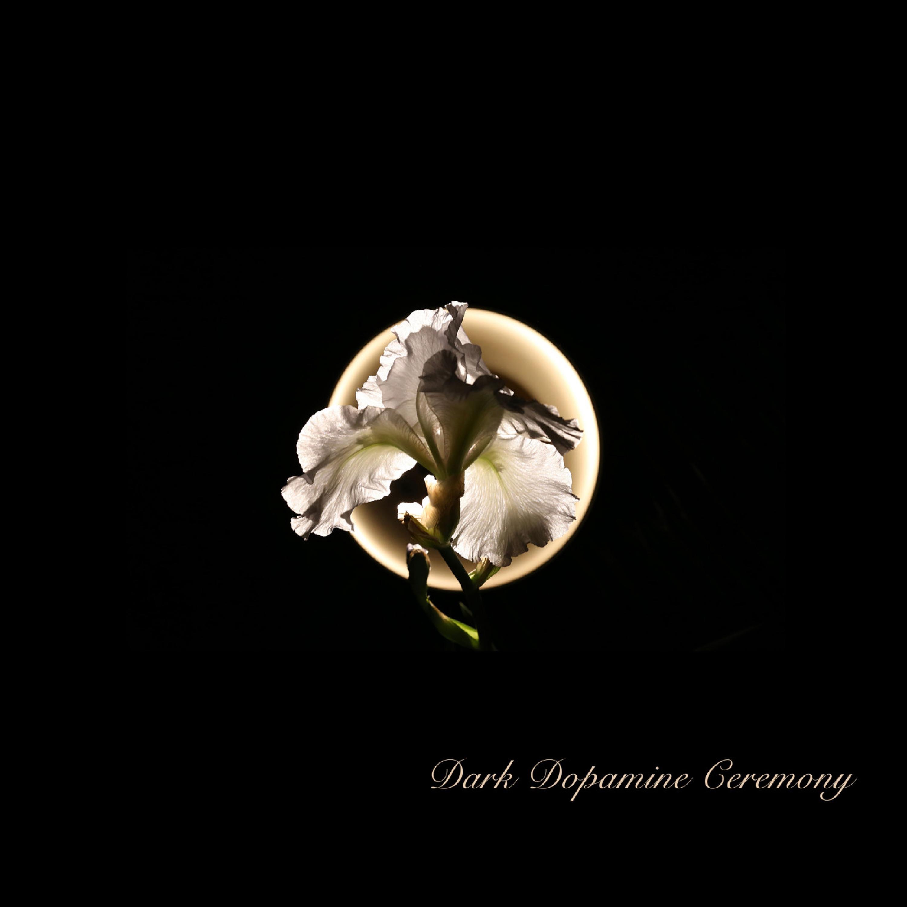 Dark Dopamine Ceremony - Single album cover