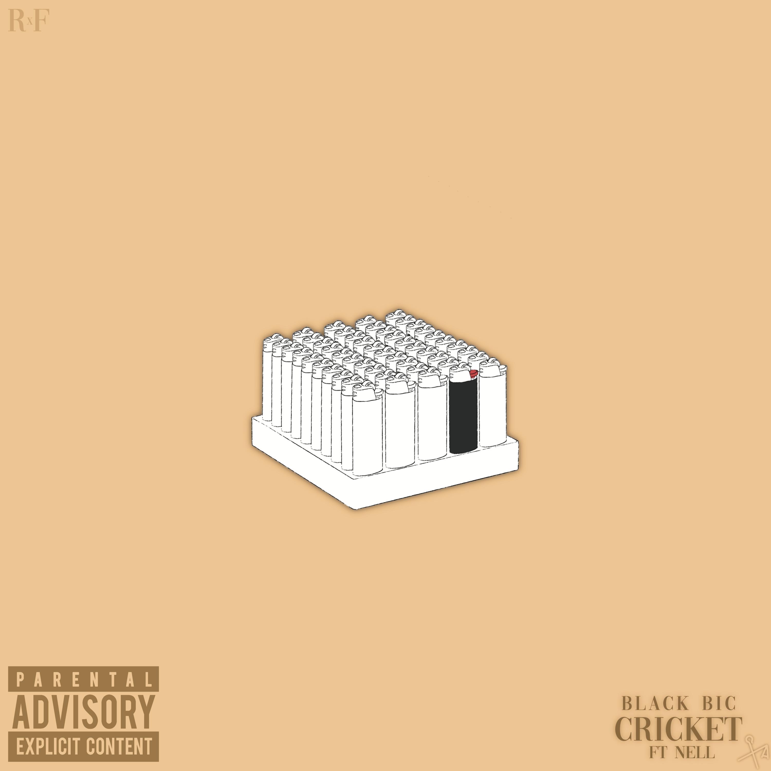 Black Bic (feat. Nell) - Single album cover