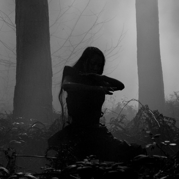 If We Don't Make It - Single album cover