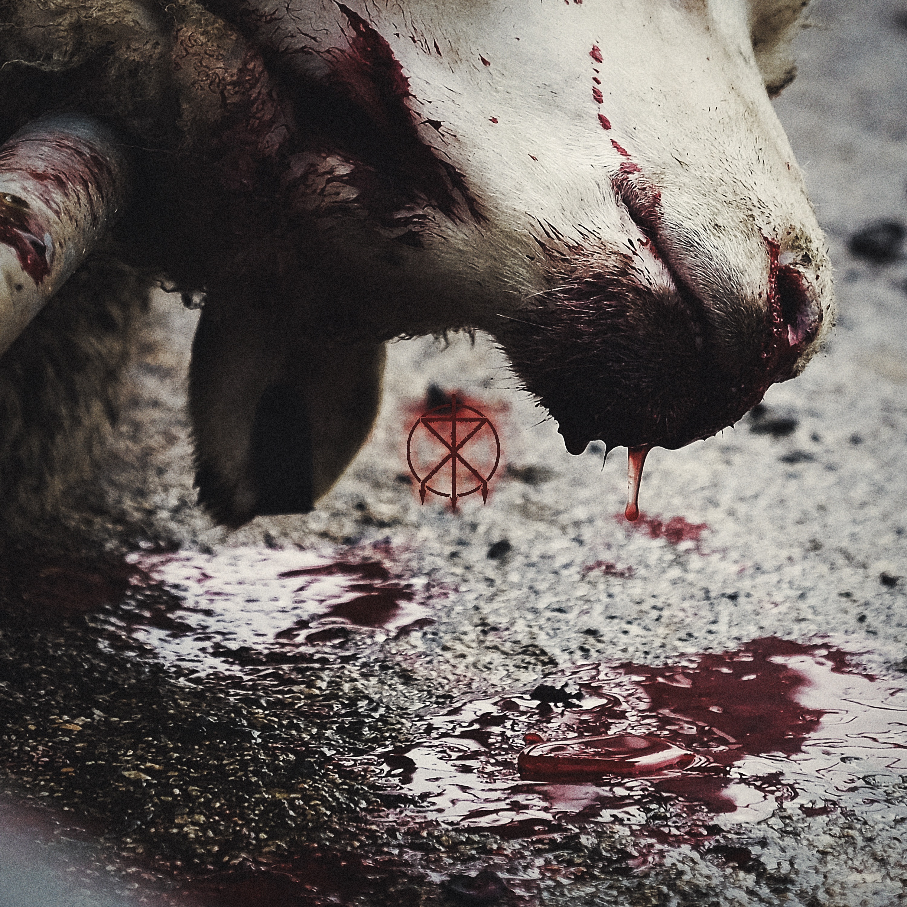 Director's Cuts album cover