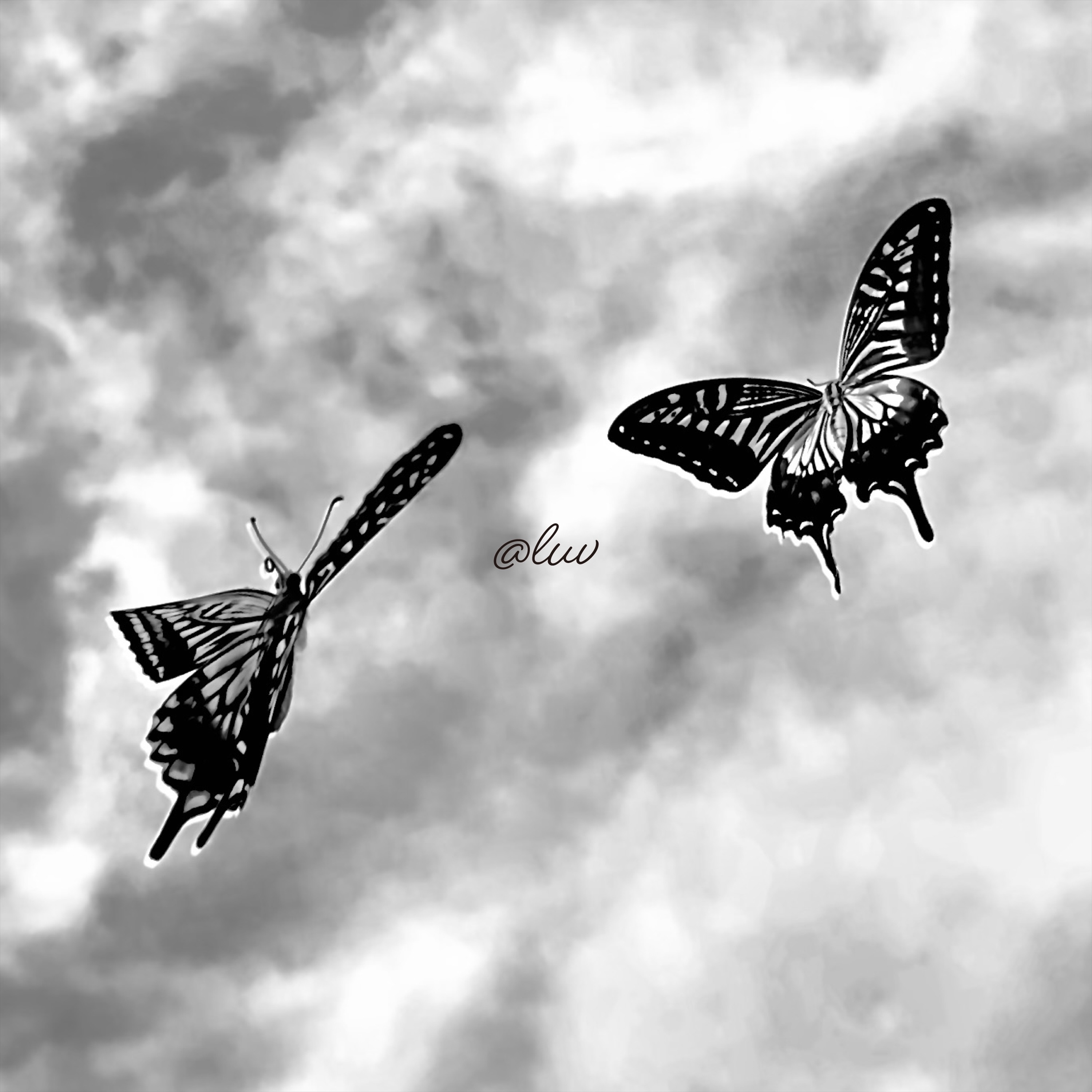 @Luv - Single album cover