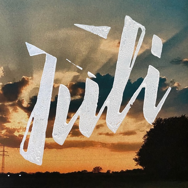 Fette Wilde Jahre - Single album cover