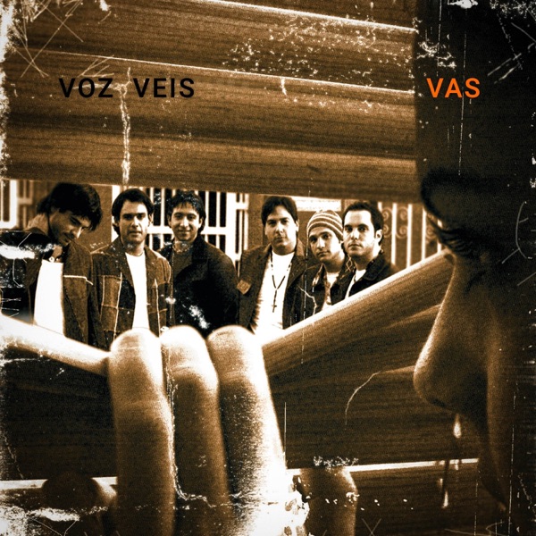 Vas album cover