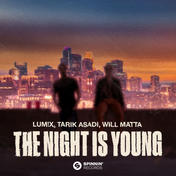 The Night Is Young - Single album cover
