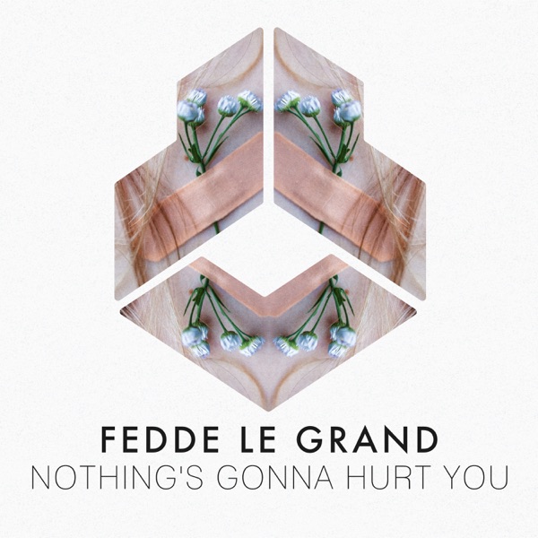 Nothing's Gonna Hurt You - Single album cover